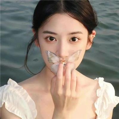 灰姑娘企鹅的温柔故事